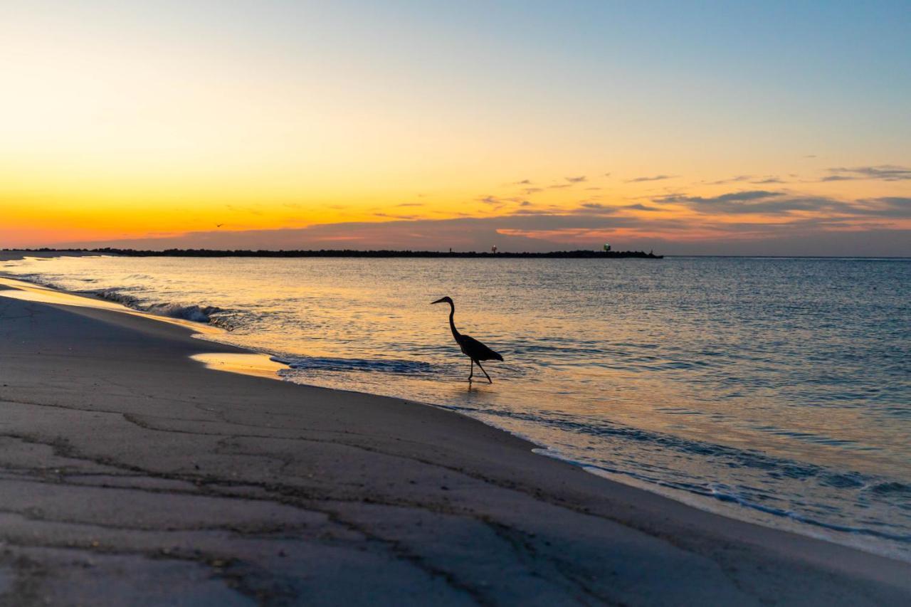 Perdido Beach Resort 橘子海滩 外观 照片